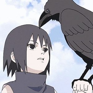 Meet your Posher, Idk